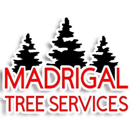 madrigal tree services logo stroke 2